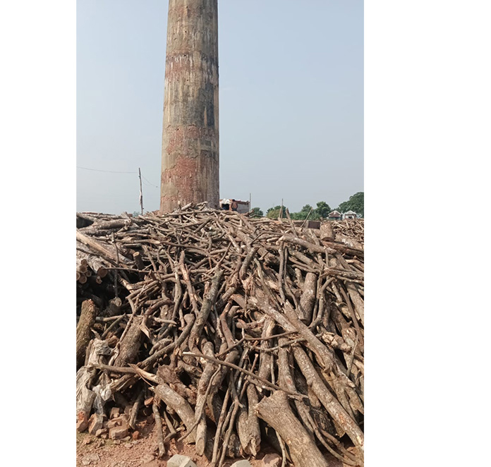 ময়মনসিংহে ২১২ অবৈধ ইটভাটা চলছে বছরের পর বছর