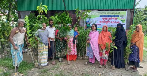 প্রধান মন্ত্রীর উপহার হত দরিদ্রদের আশ্রয়ন প্রকল্পের বাড়ীর আঙ্গিনায় বৃক্ষ রোপন কর্মসূচি