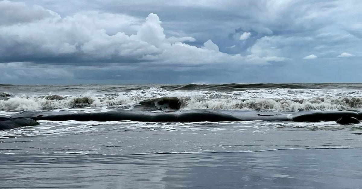 বঙ্গোপসাগরে লঘুচাপ, বাড়বে দিনের তাপমাত্রা