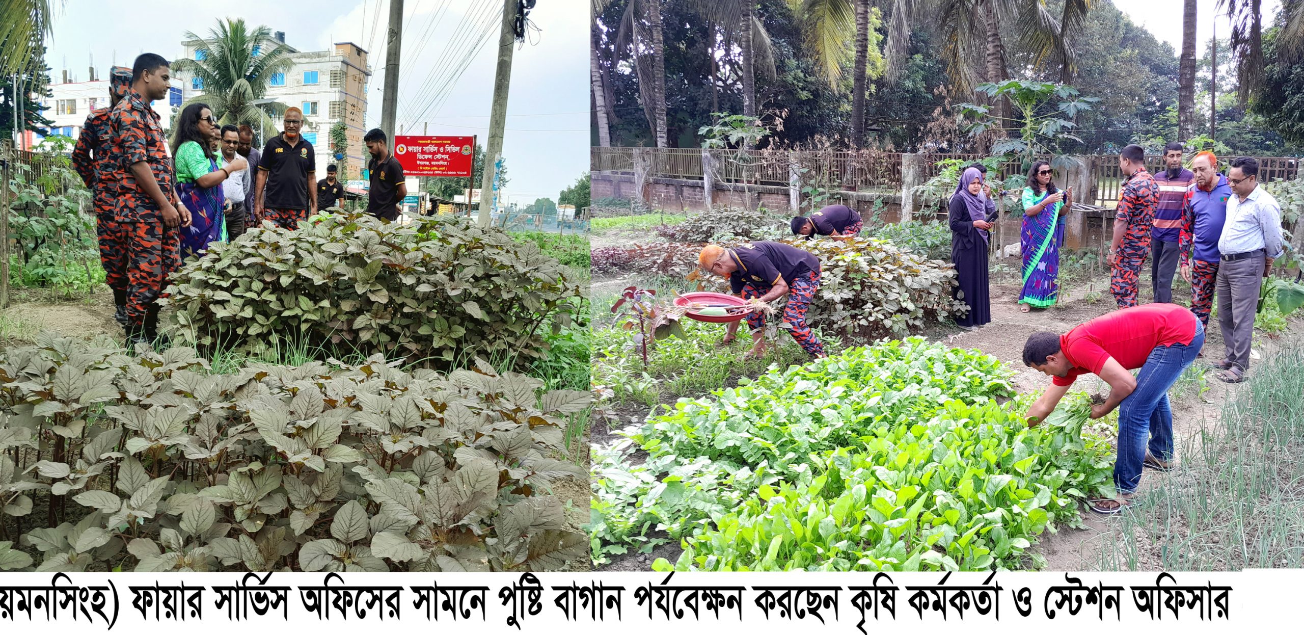 ঈশ্বরগঞ্জে বাড়ছে পুষ্টিবাগানের সংখ্যা কমছে আমদানি নির্ভরতা