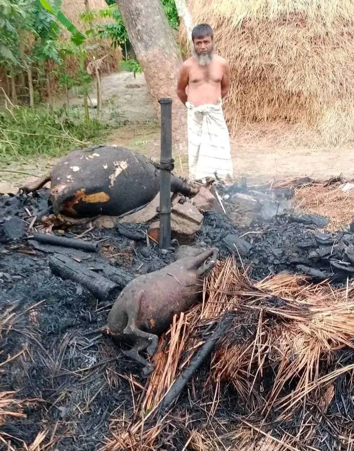 কেন্দুয়ায় কয়েলের আগুনে পুড়ল গোয়ালঘর