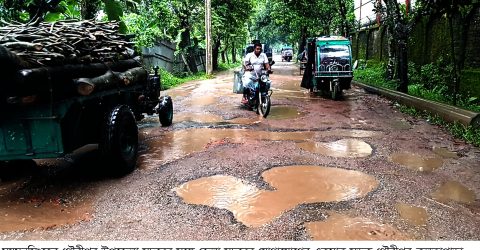 গৌরীপুর-কলতাপাড়া সড়ক বেহাল!